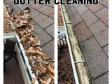 gutter.cleaning (10)