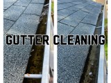 gutter.cleaning (12)