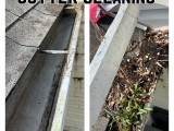 gutter.cleaning (3)
