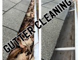 gutter.cleaning (6)
