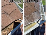gutter.cleaning (9)