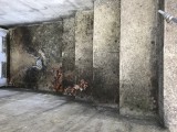 power.washing.near.me.116