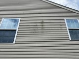 power.washing.services.near.me.100